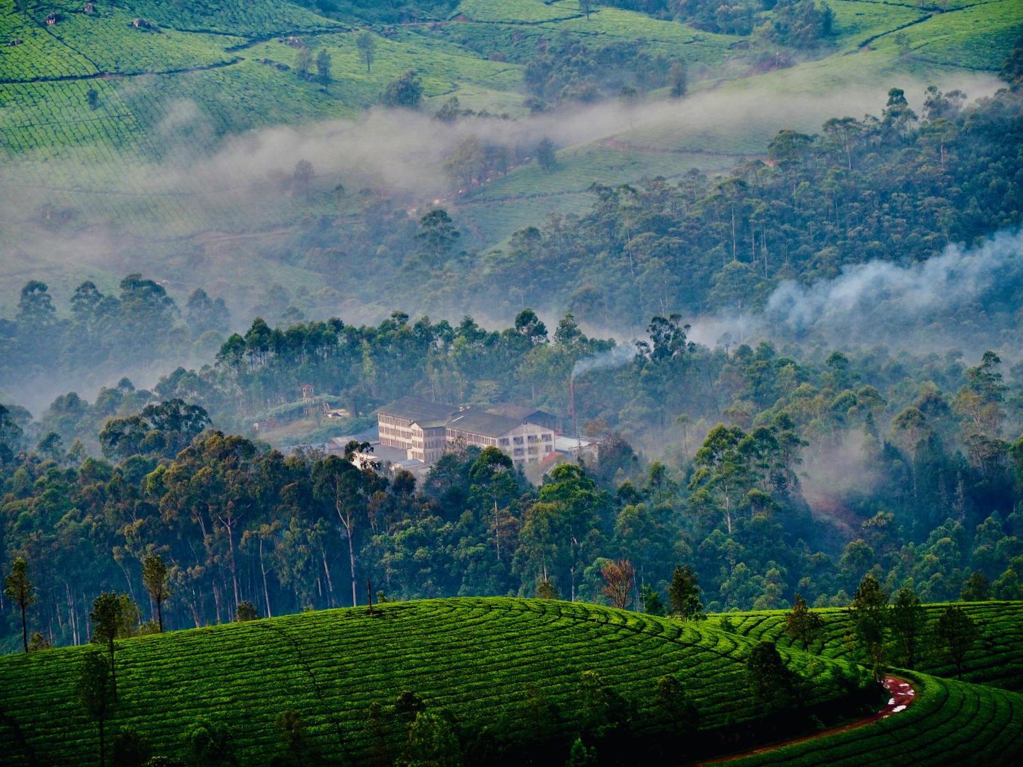 Lockhart Bungalow Munnar - A Cgh Earth Saha Experience Exterior photo